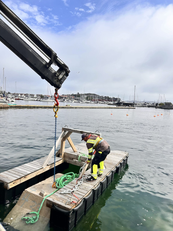 IMG_1194-min-1-scaled