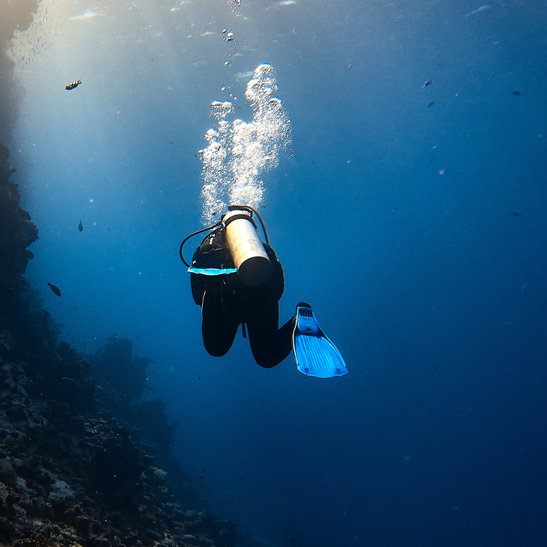 Dykkerinspeksjon Dykkerinspeksjon